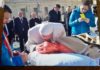 Jacopo a Lourdes ha visto una grande luce, e solo l'AVE MARIA stimola i suoi sensi
