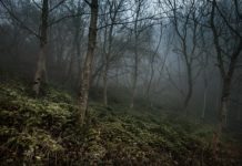 Le rivelazioni di Natuzza Evolo
