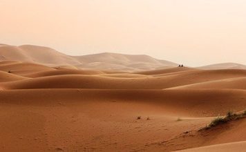 Le grandi figure dei Padri del Deserto, come rose sbocciate sulla sabbia