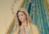 Famiglia profetica: il Monte Carmelo