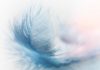 Uno scienziato ci spiega qual è la differenza tra gli angeli e gli uomini leggerezza