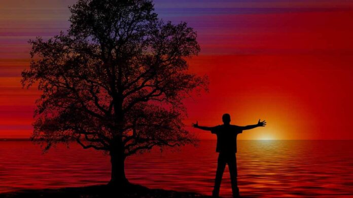 Uomo braccia aperte albero tramonto mare